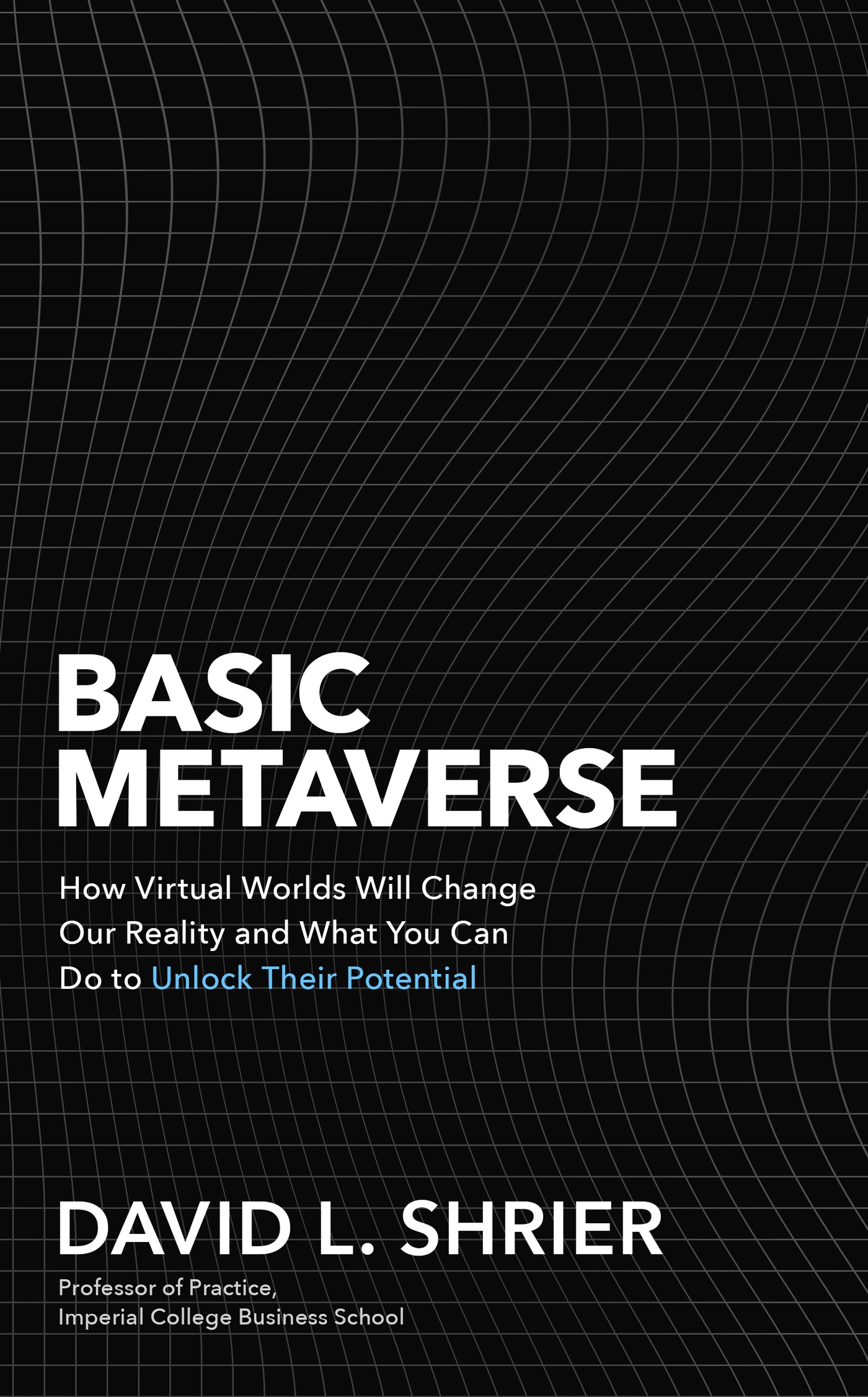 Basic Metaverse 